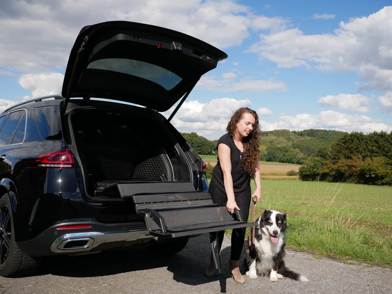 Otto the Australian Shepherd sitting beside unfolded Dog&Drive steps at the back of a black Mercedes.