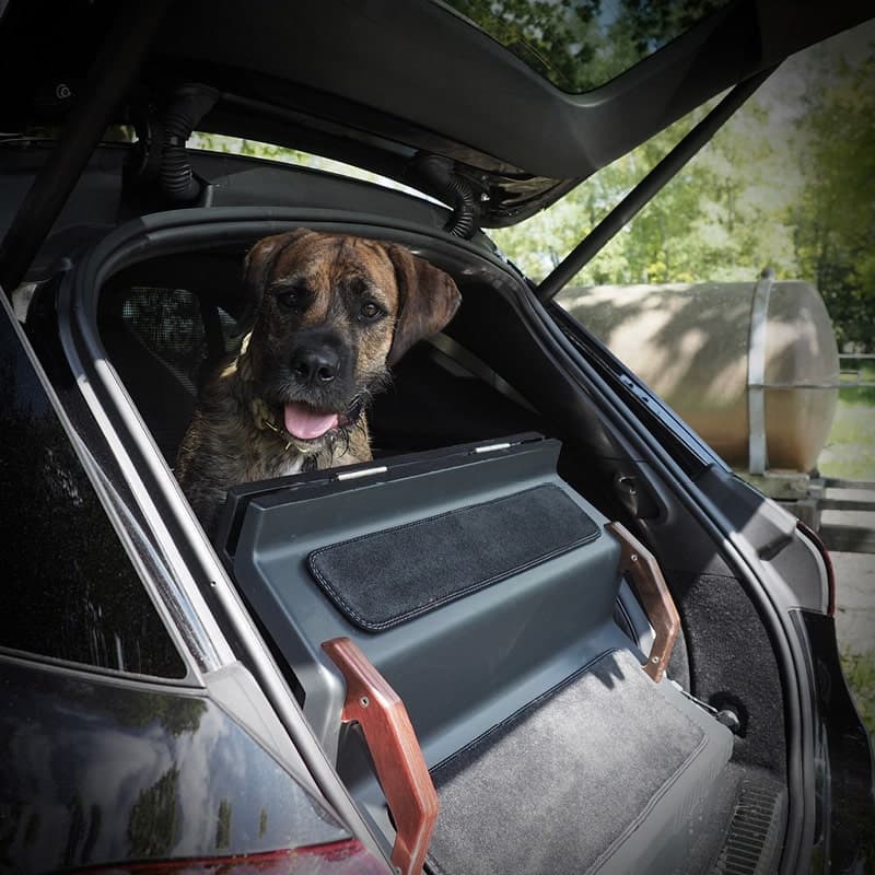 A brindle dog in a car boot behind folded Dog&Drive steps with wooden handles.